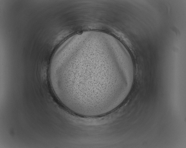 X0000116600010200912241723