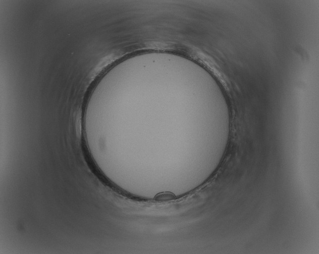 X0000116600011200912241723