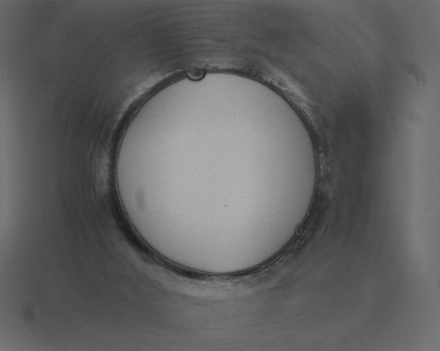 X0000116600012200912241723