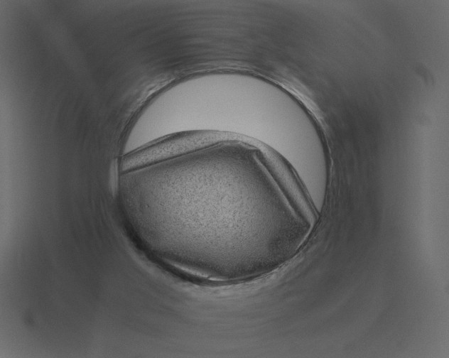 X0000116600013200912241723