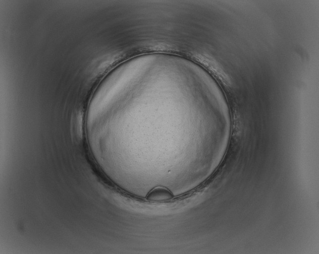 X0000116600014200912241723