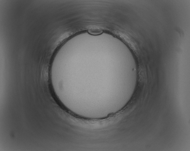 X0000116600015200912241723