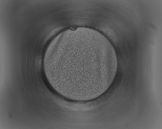 X0000116600016200912241723