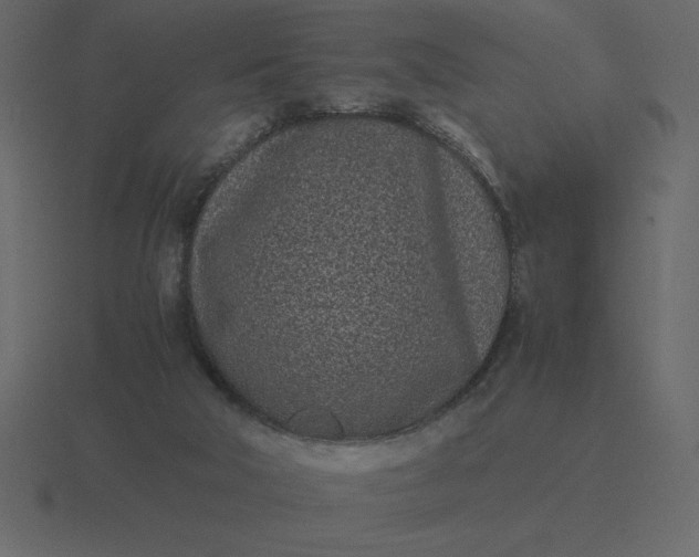 X0000116600018200912241723