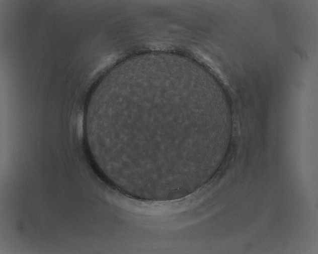 X0000116600019200912241723