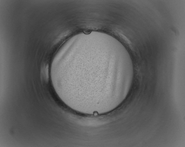 X0000116600020200912241723