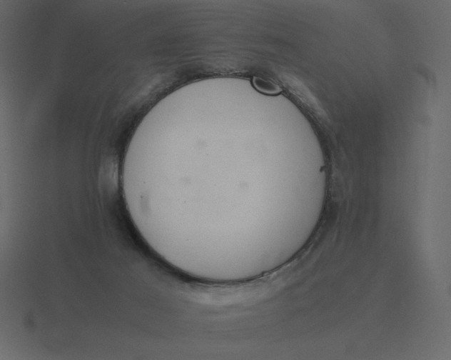 X0000116600021200912241723