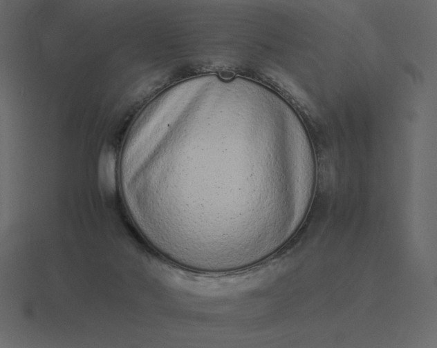 X0000116600022200912241722