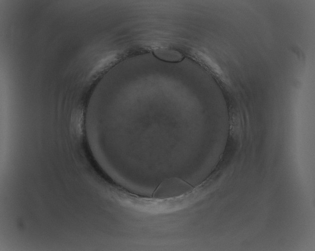 X0000116600023200912241722