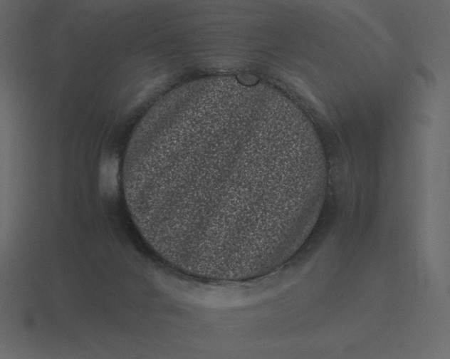 X0000116600024200912241722