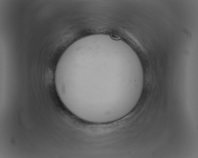 X0000116600025200912241722