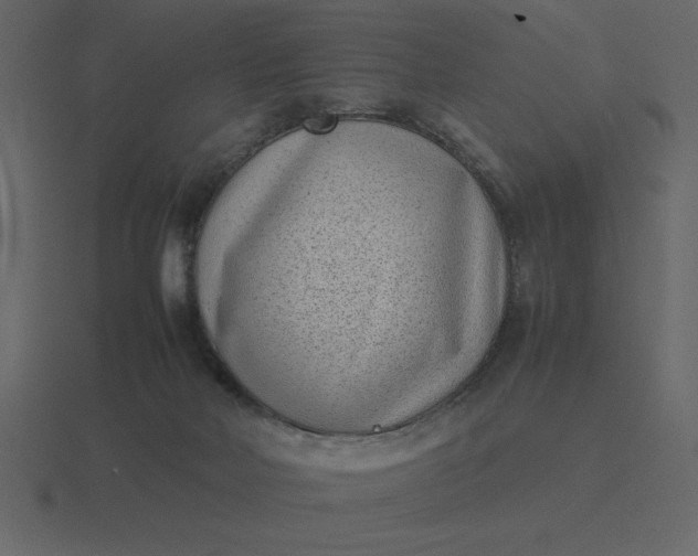 X0000116600026200912241722