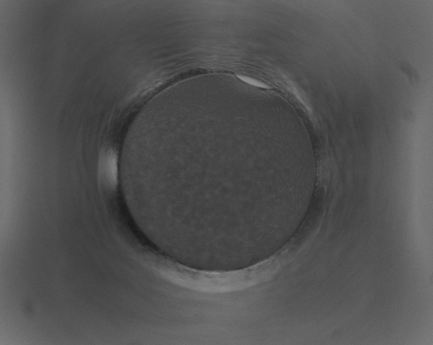 X0000116600027200912241722