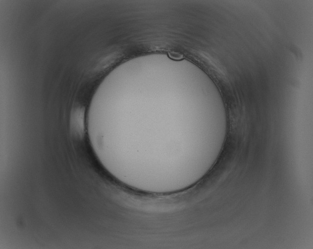 X0000116600028200912241722