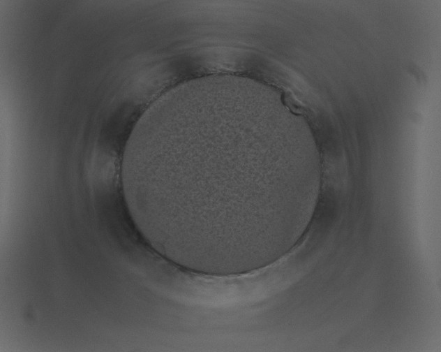 X0000116600029200912241722