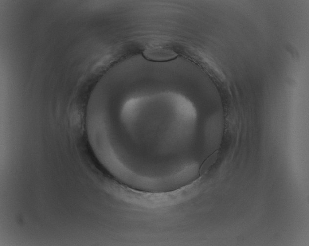 X0000116600031200912241722