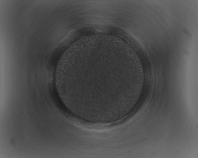 X0000116600032200912241722