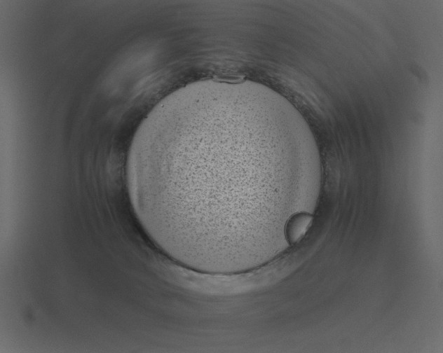 X0000116600034200912241722