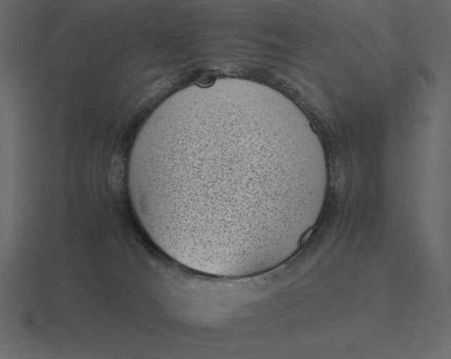 X0000116600036200912241722