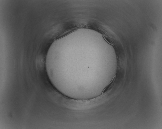 X0000116600037200912241722