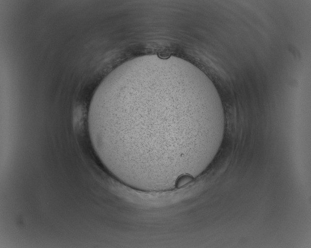 X0000116600038200912241722