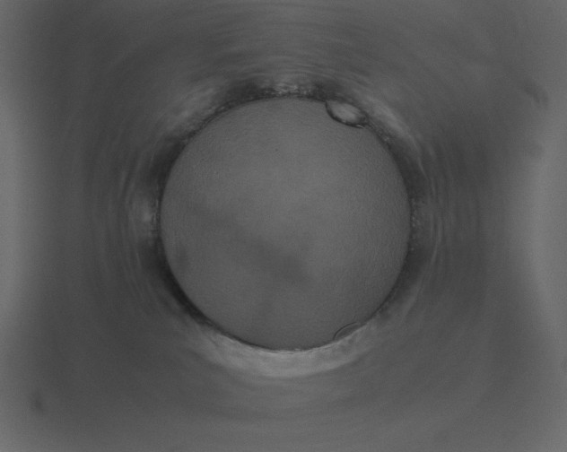 X0000116600039200912241722