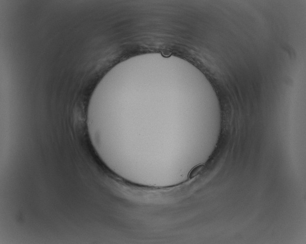 X0000116600040200912241722