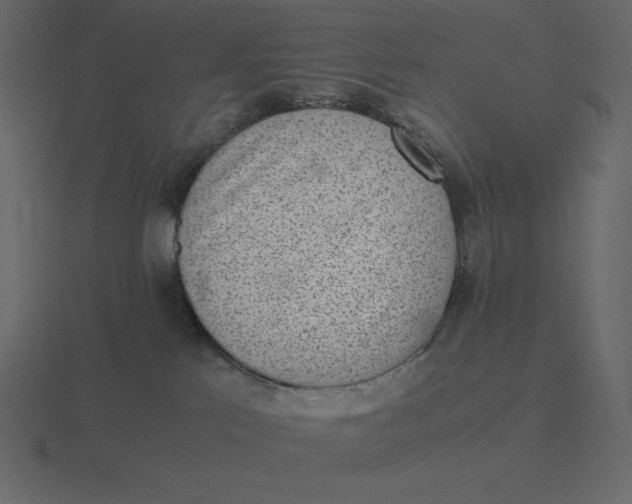 X0000116600041200912241722