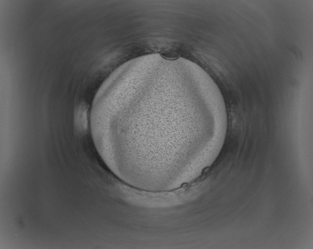 X0000116600042200912241722