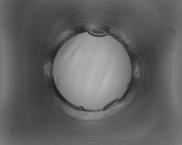 X0000116600044200912241722