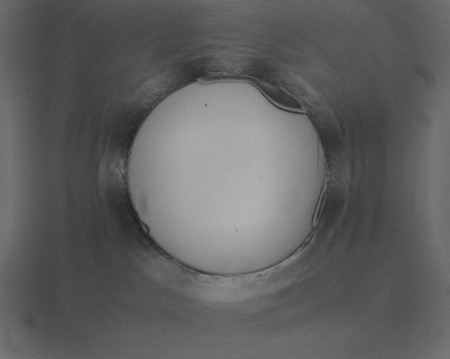 X0000116600045200912241722