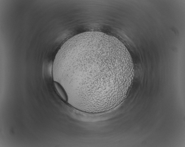 X0000116600047200912241722