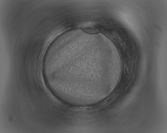 X0000116600049200912241722