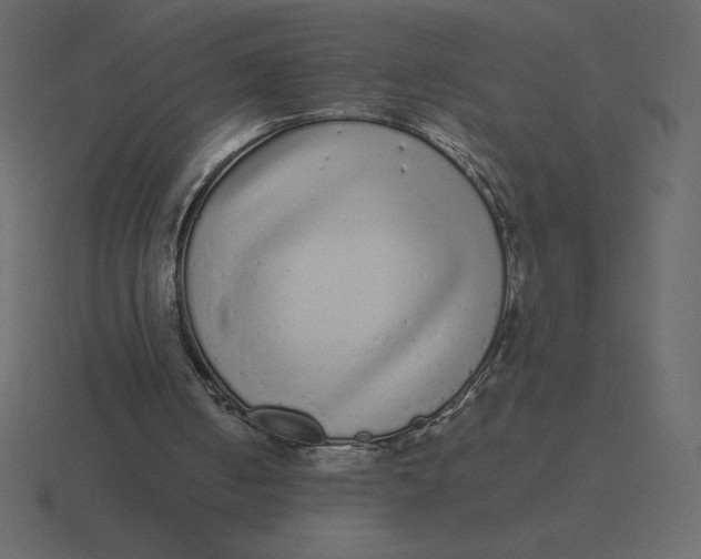 X0000116600050200912241722