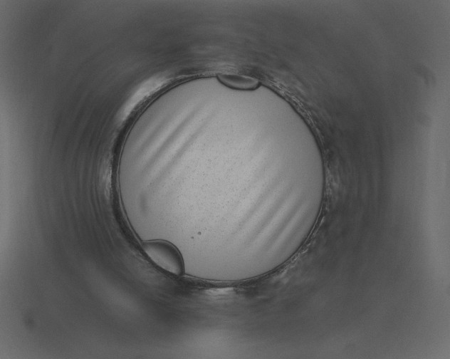 X0000116600054200912241722