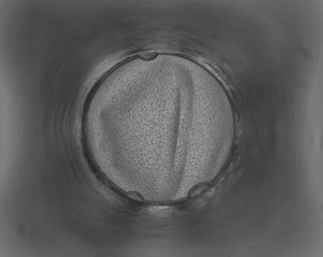 X0000116600055200912241722