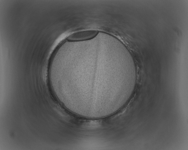 X0000116600056200912241722