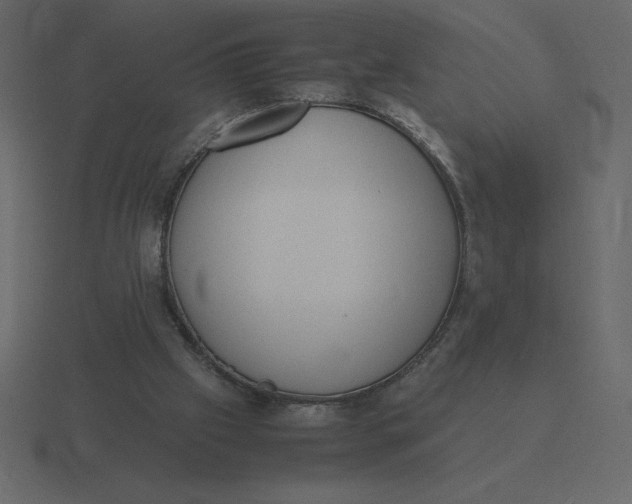 X0000116600057200912241722