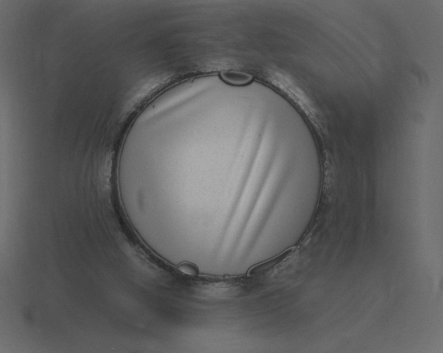 X0000116600058200912241722