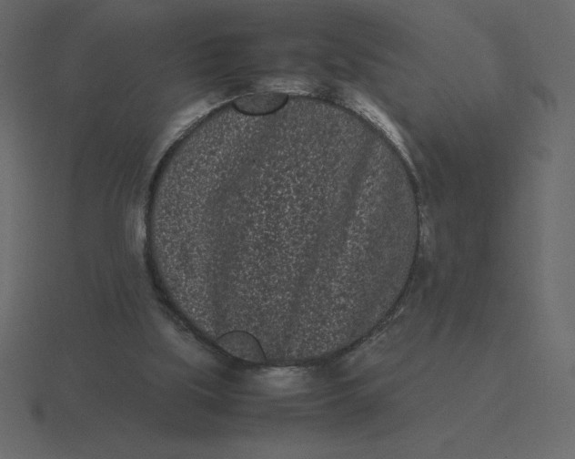 X0000116600059200912241722