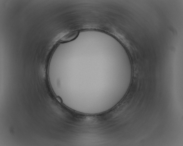 X0000116600060200912241722