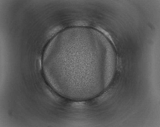 X0000116600061200912241722