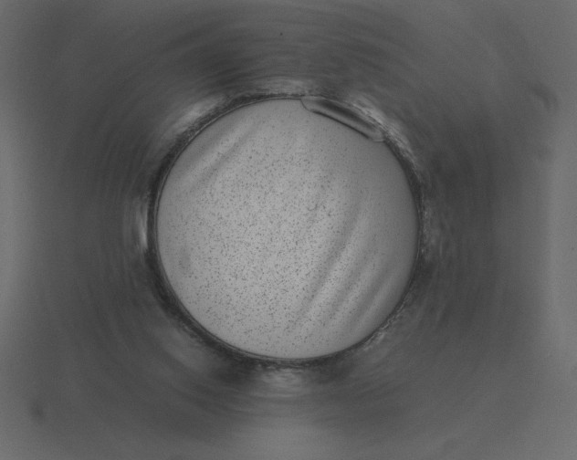 X0000116600062200912241722