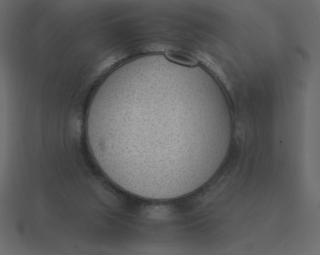 X0000116600063200912241722