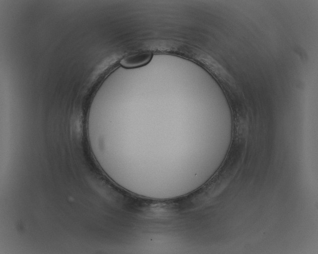 X0000116600064200912241722