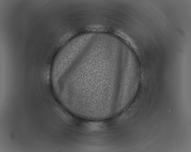 X0000116600065200912241722