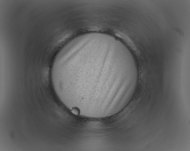 X0000116600066200912241722