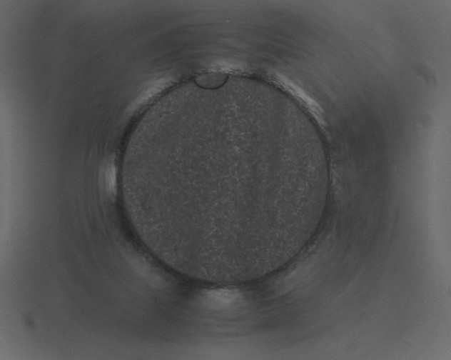 X0000116600067200912241722