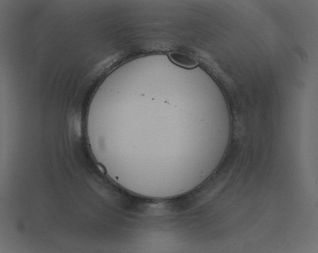 X0000116600068200912241722