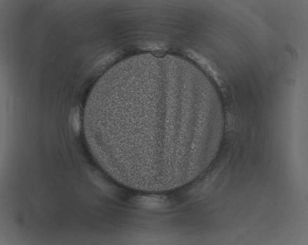 X0000116600069200912241722